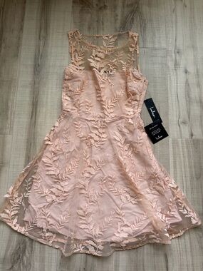 Lulu's Blush Pink Embroidered Floral Mesh Dress